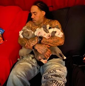 Meet your Posher, Erik